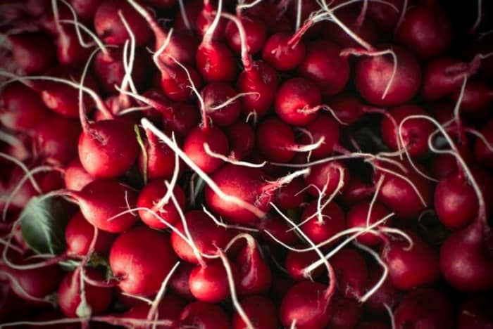 فواید کلی تربچه چیست؟ فواید تربچه