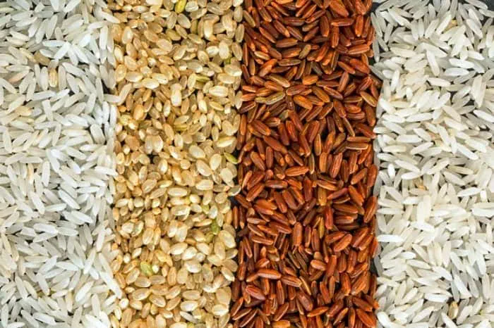برنج قند خون
