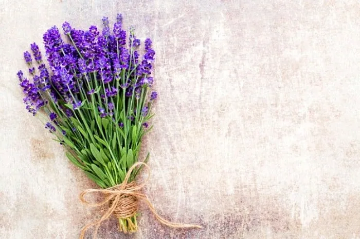 آفتاب سوختگی