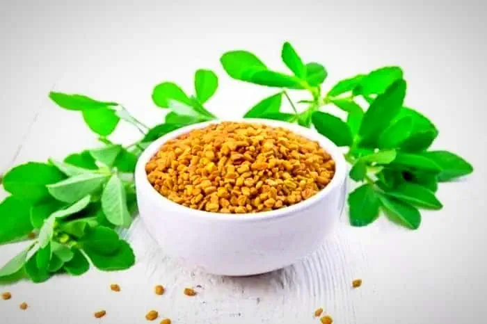شنبلیله