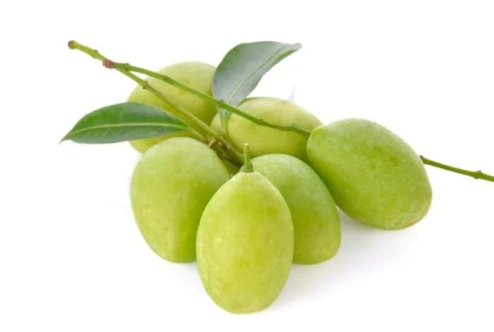 نوبرانه چغاله