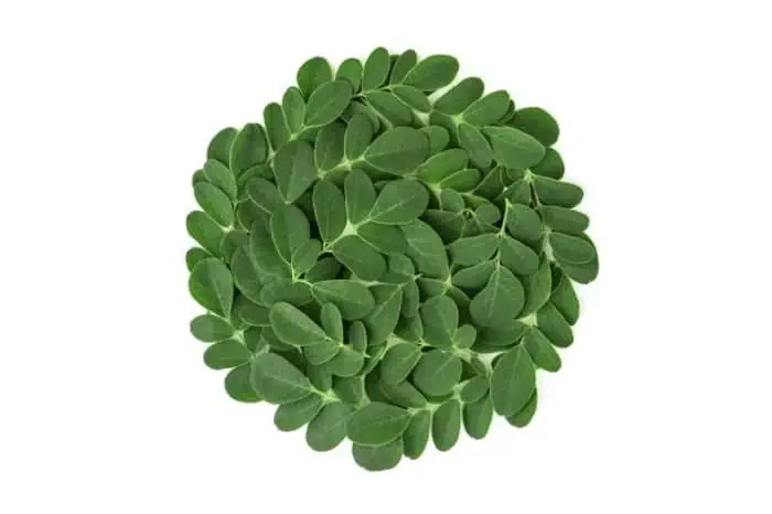 خواص گیاه مورینگا