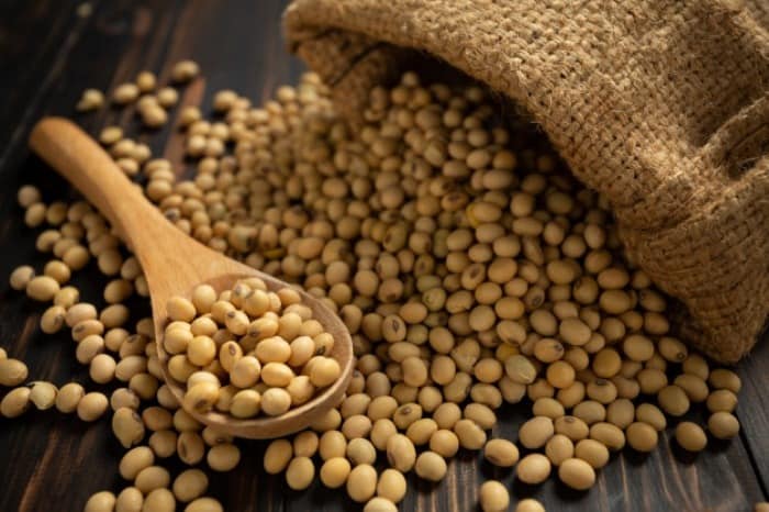 سویا برای دیابت