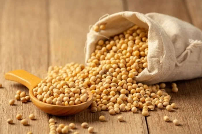 سویا