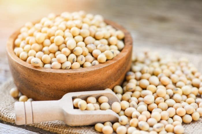 فواید سویا و خاصیت سویا