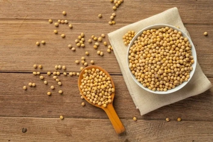 دانه سویا