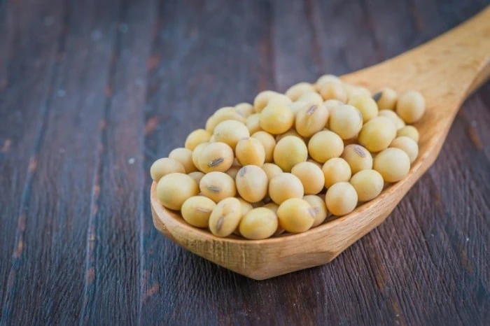 سویا