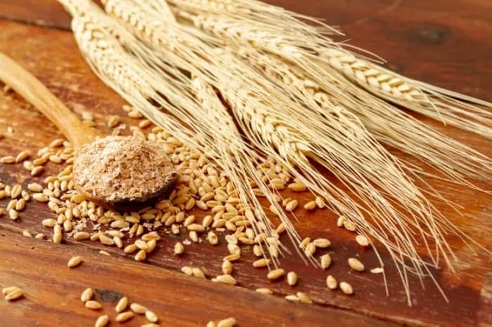 فواید و عوارض سبوس برنج