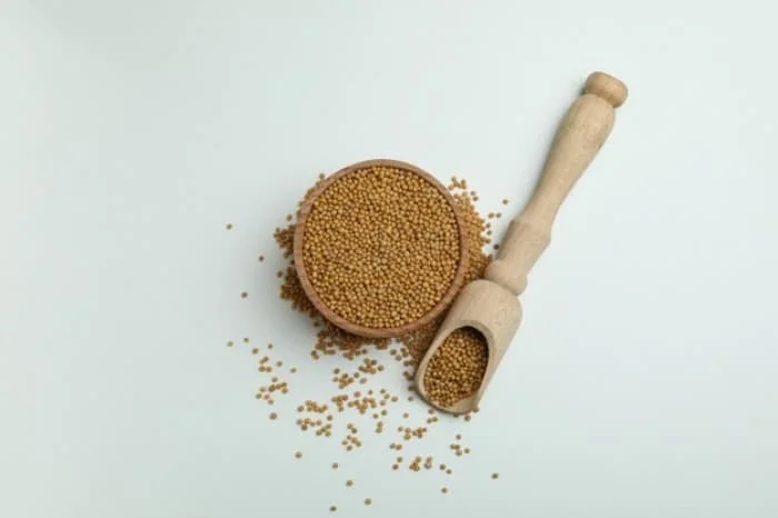 ریشه خردل