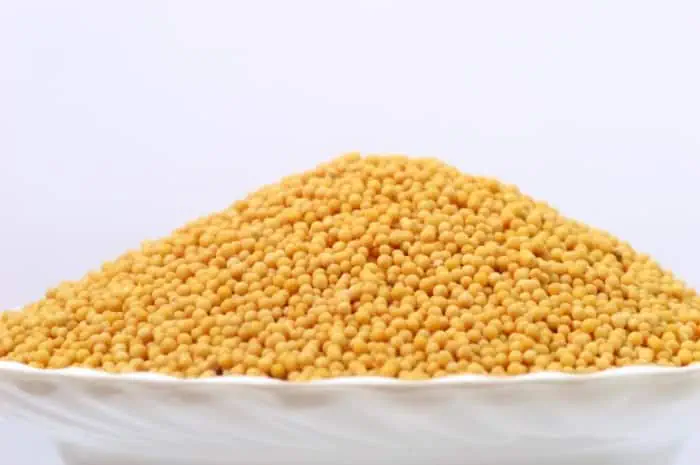 عوارض خردل و مضرات خردل
