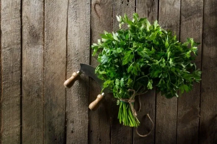 فریز کردن سبزی