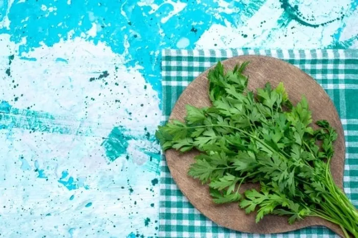 مزایای جعفری