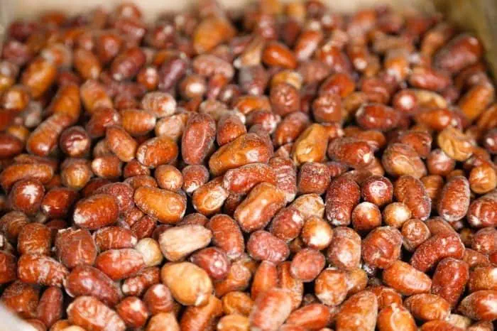 پودر سنجد