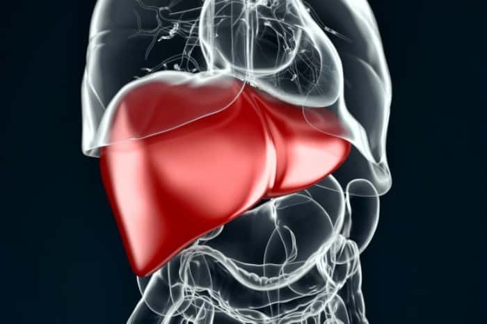 أعراض مرض الكبد الدهني - كيفية التأكد من سلامة الكبد