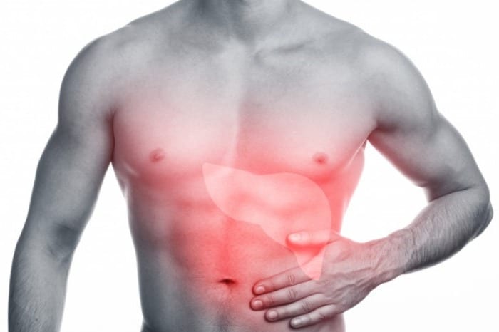 فواید و خواص لبو برای کبد لبو برای کبد