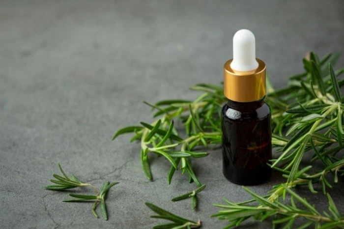واقعیت های روغن رزماری