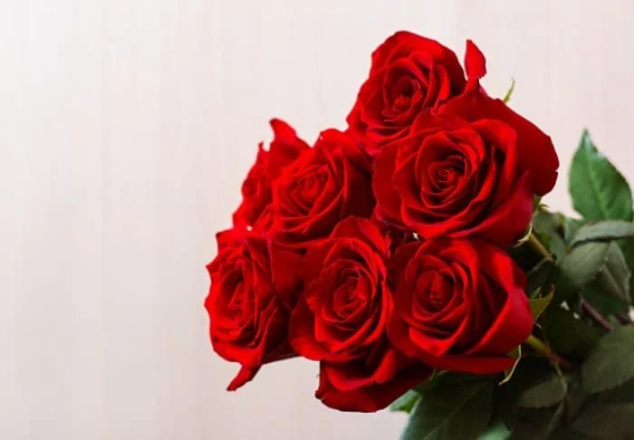 آب گل رز برای مو