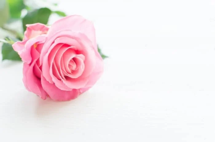 اس ام اس زندگی بهتر