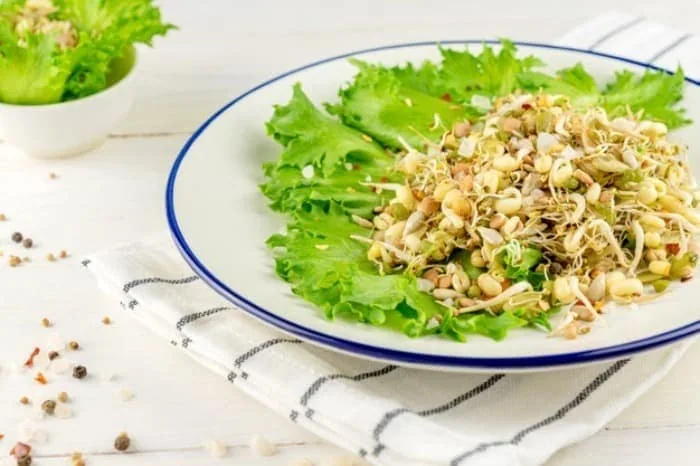 جوانه گندم و لاغری