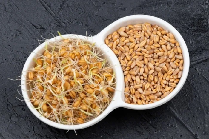 فواید جوانه گندم برای مو 