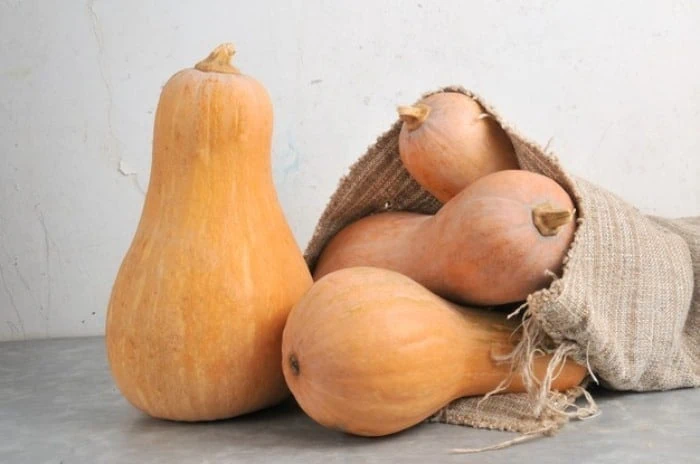 کدو حلوایی