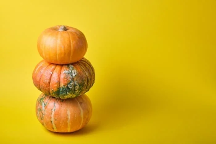 عصاره کدو برای مو
