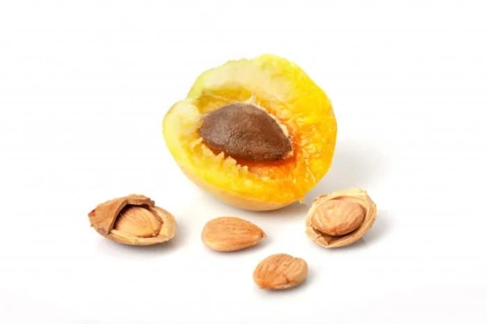 خواص زردآلو