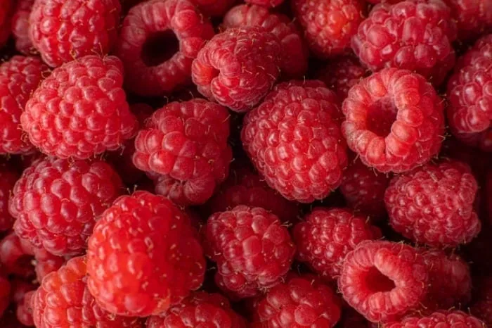 چگونه مربا بپزم؟
