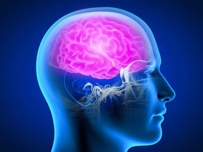 علت مختل شدن مغز 