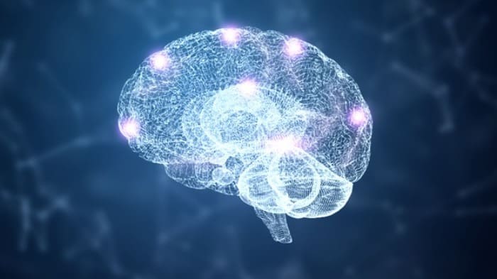 مغز و هوش انسان