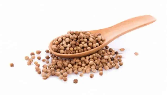 گشنیز خشک