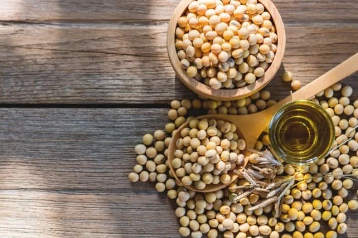 خواص روغن سویا