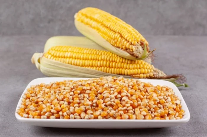 روغن ذرت