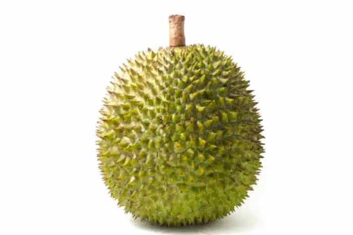 خواص دوریان 