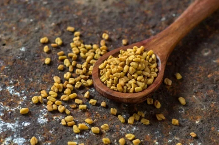 دانه شنبلیله