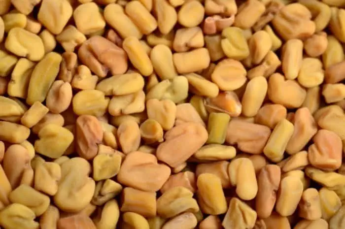 آلرژی برخی افراد نسبت به مصرف شنبلیله دانه های شنبلیله