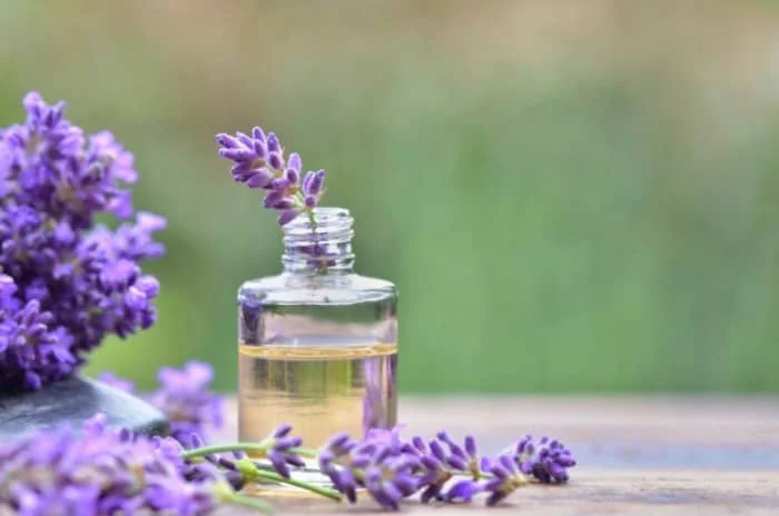 روغن استوخودوس