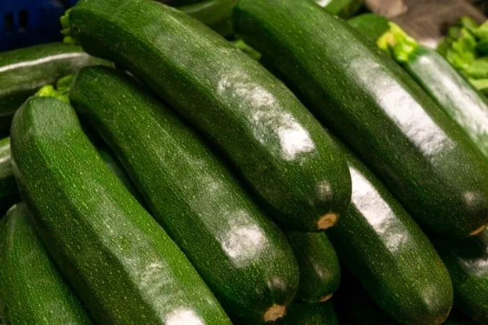 چربی سوزی با کدو سبز 