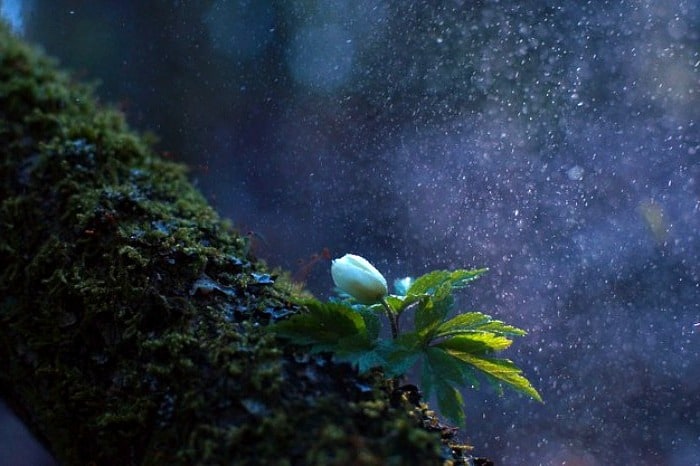 دعاها و ذکر ها برای بارش باران