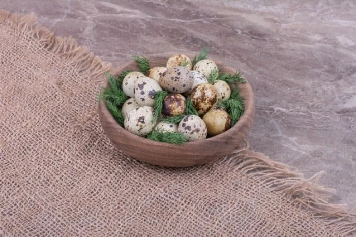 تخم بلدرچین برای بارداری