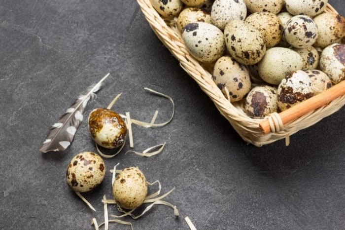 تمام خواص گوشت بلدرچین برای سلامتی خواص گوشت بلدرچین