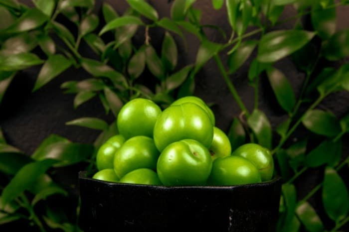 خواص ، فواید و مضرات خوردن گوجه سبز + گوجه سبز در بارداری