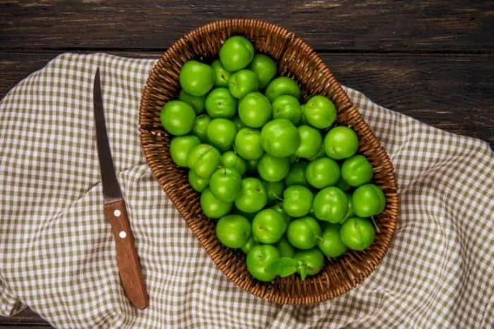 نوبرانه گوجه سبز