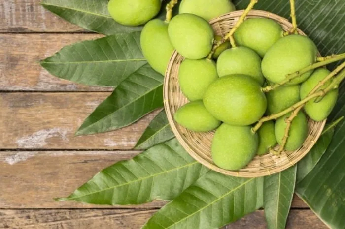 چغاله بادام