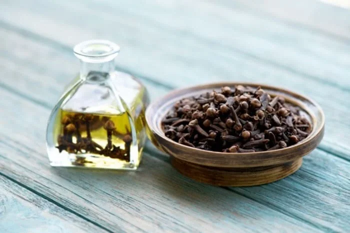 روغن میخک برای عفونت