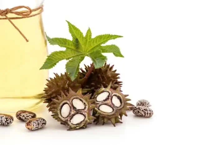 روغن کرچک اصل 