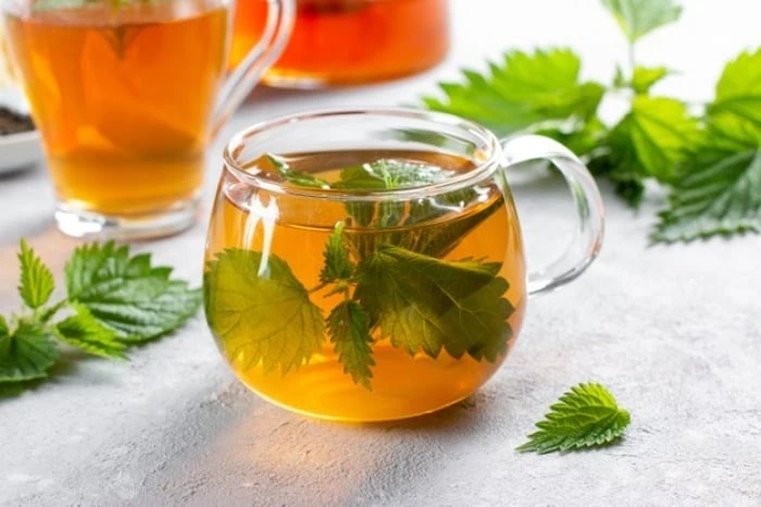 فواید چای گزنه