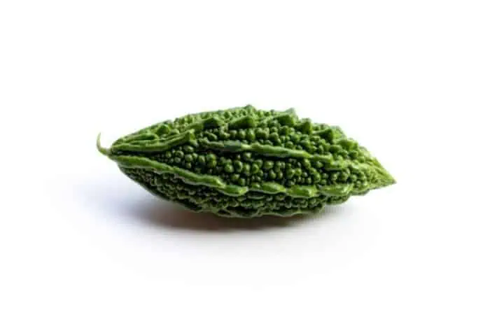 خربزه تلخ