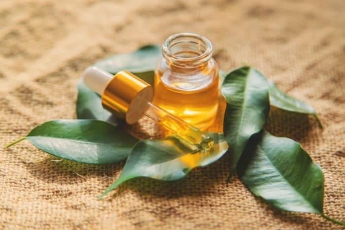 روغن درخت چای برای دفع پشه