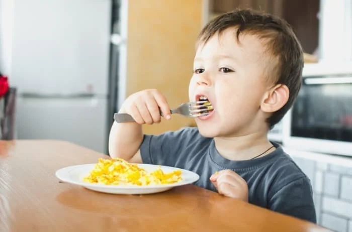 غذا آهن دار برای کودک